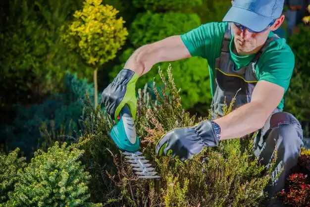 landscaping services Meadville